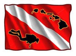 scuba dive flag decal