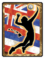 wahine volleyball hawaiian flag