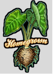 Hawaiiana