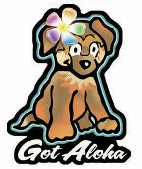 cute brown dog with rainbow flower and got aloha