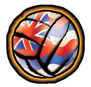 volleyball hawaiian flag inset decal