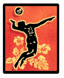 volleyball player hitting silhouette with orange and yellow floral background