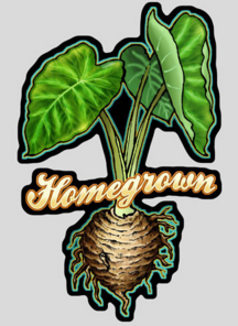 homegrown kalo decal